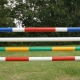 poles